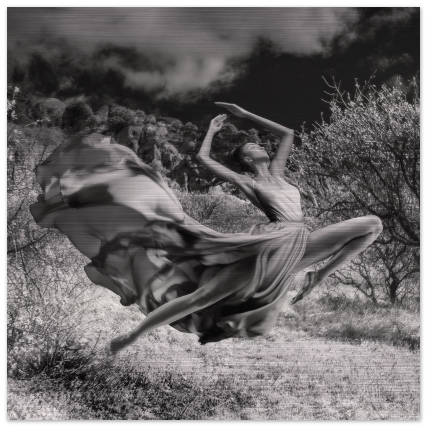 13424369-4bf9-4081-aa7f-279566ffcd80