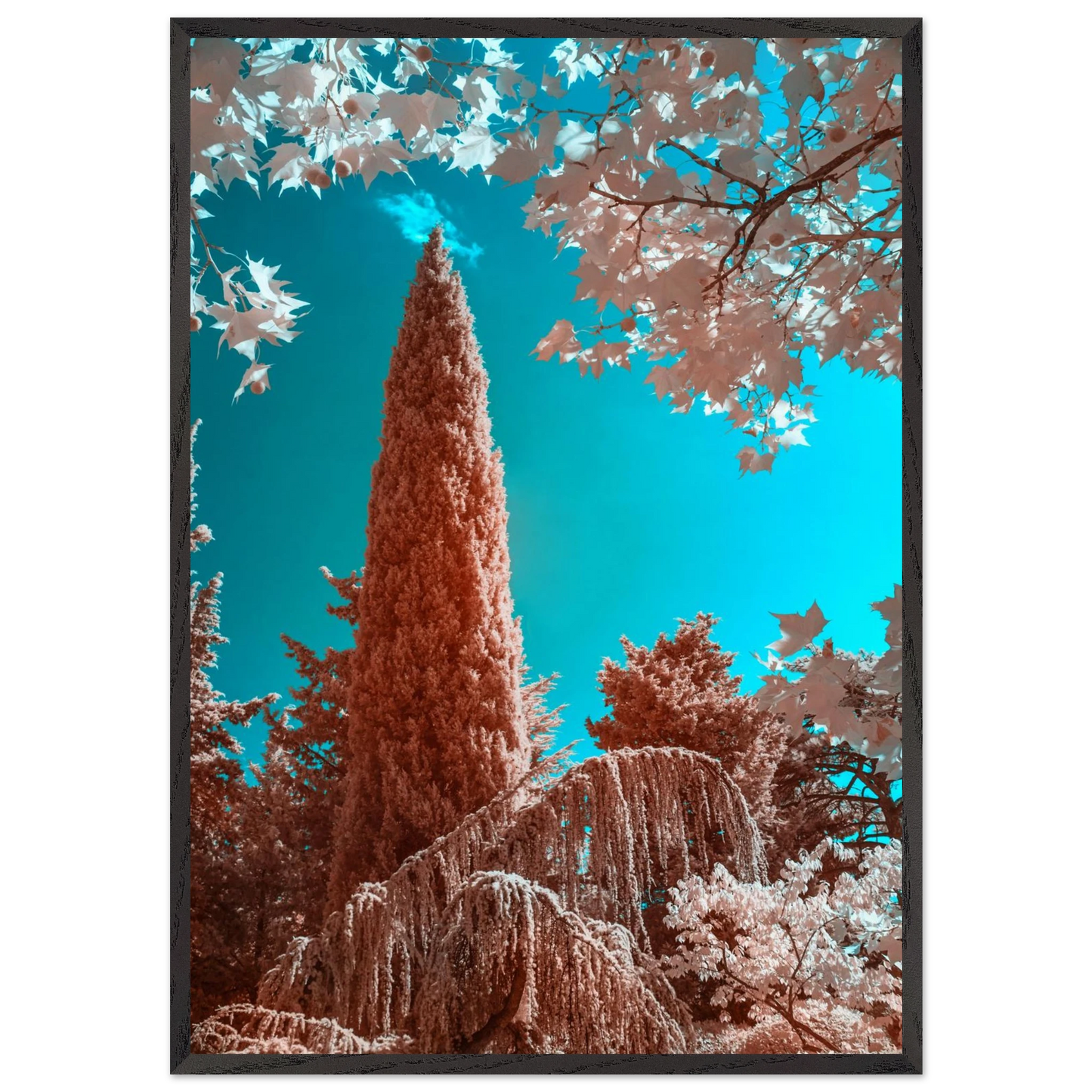 14119691-0635-4c3f-b5ed-c5395ef8f433