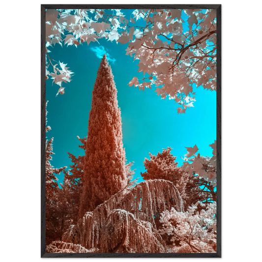 14119691-0635-4c3f-b5ed-c5395ef8f433