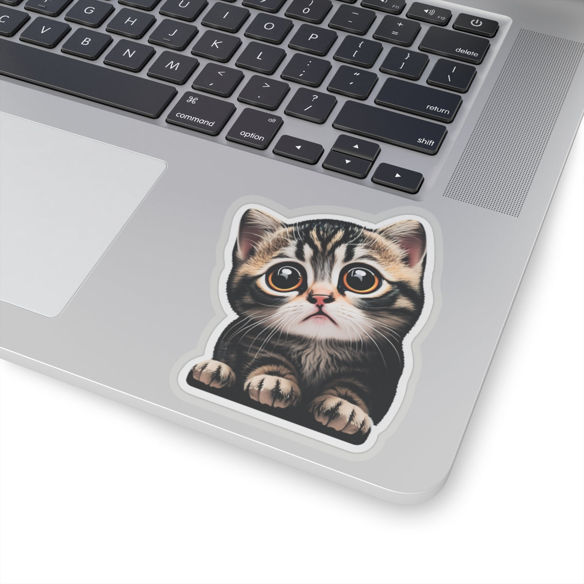 Kiss-Cut Sticker of cute funny cat kitten  for your collection