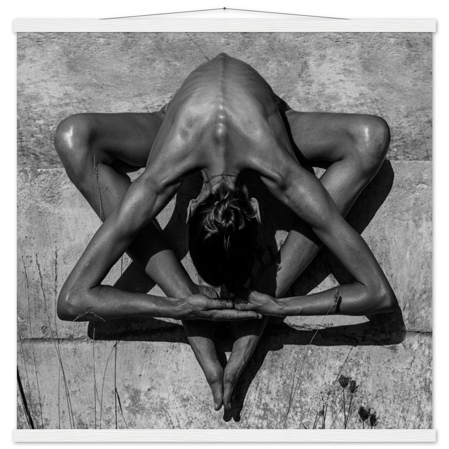 14a5cdc5-359c-4469-9516-b2caf96263fa