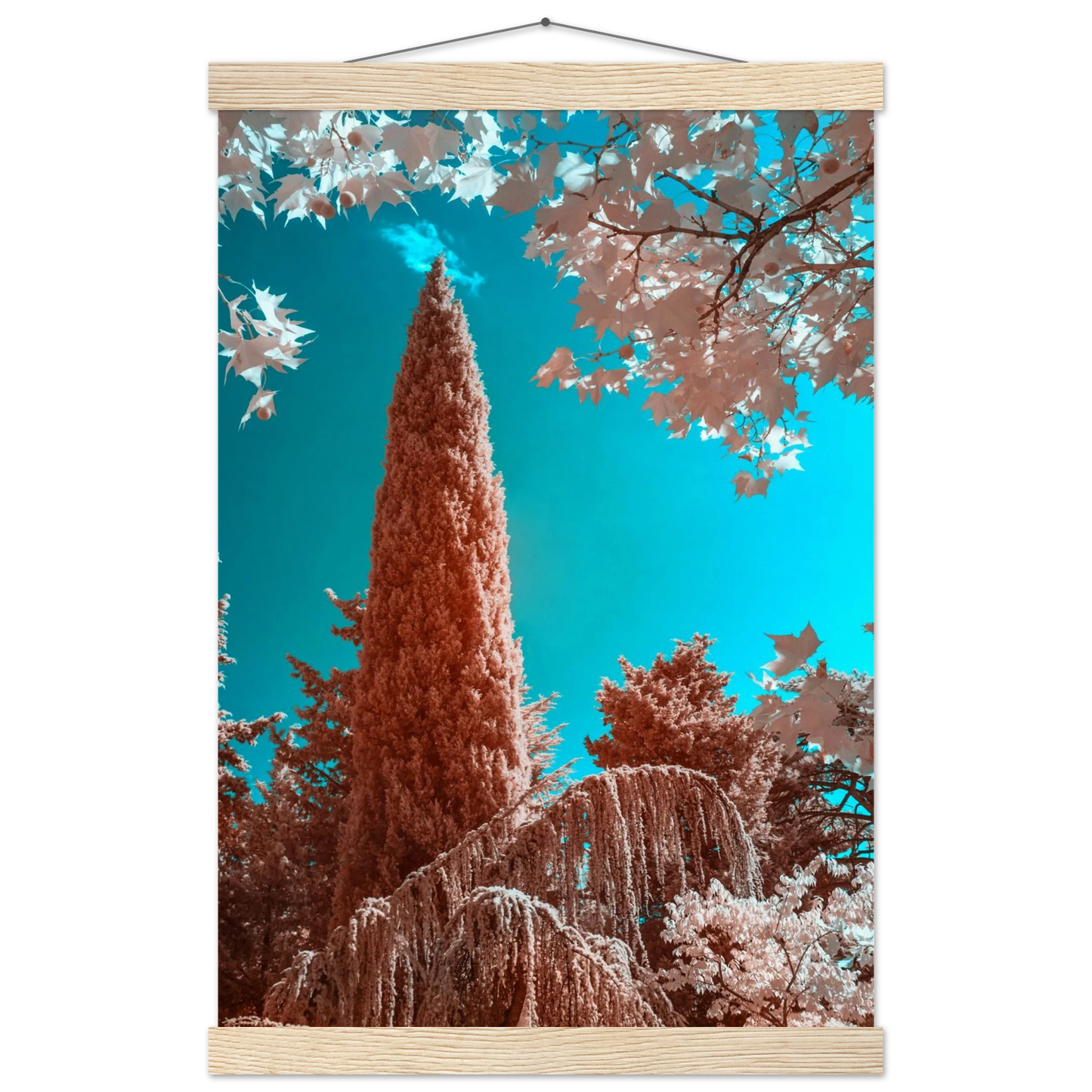 14ee1481-b508-412d-9f28-0eae11f97f51