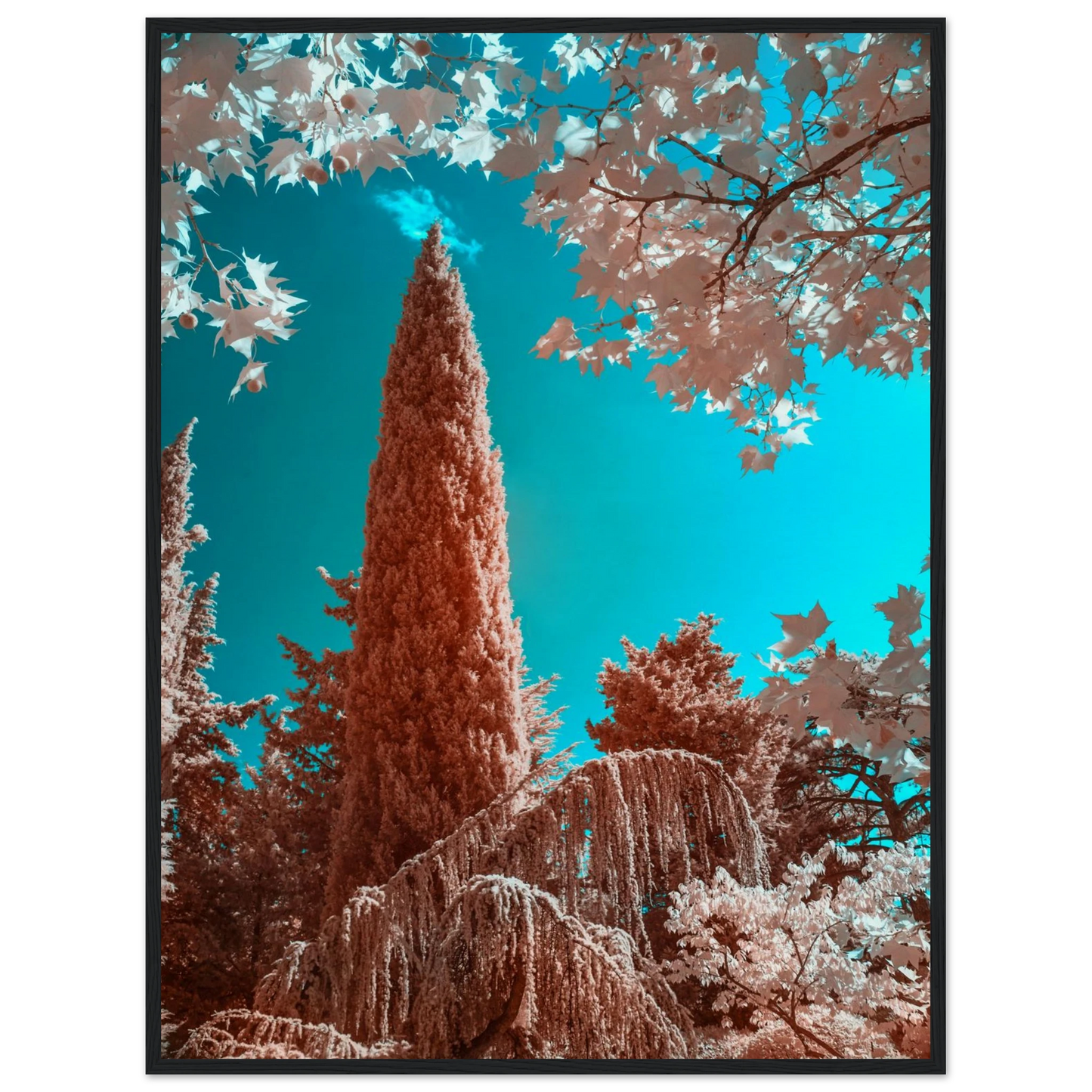 153e5ec2-2a46-4012-8400-dae38835c110