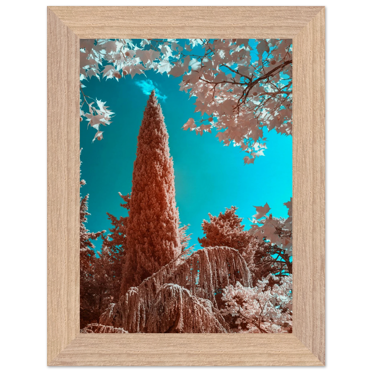 1552de43-81dc-4472-b232-710019121da5