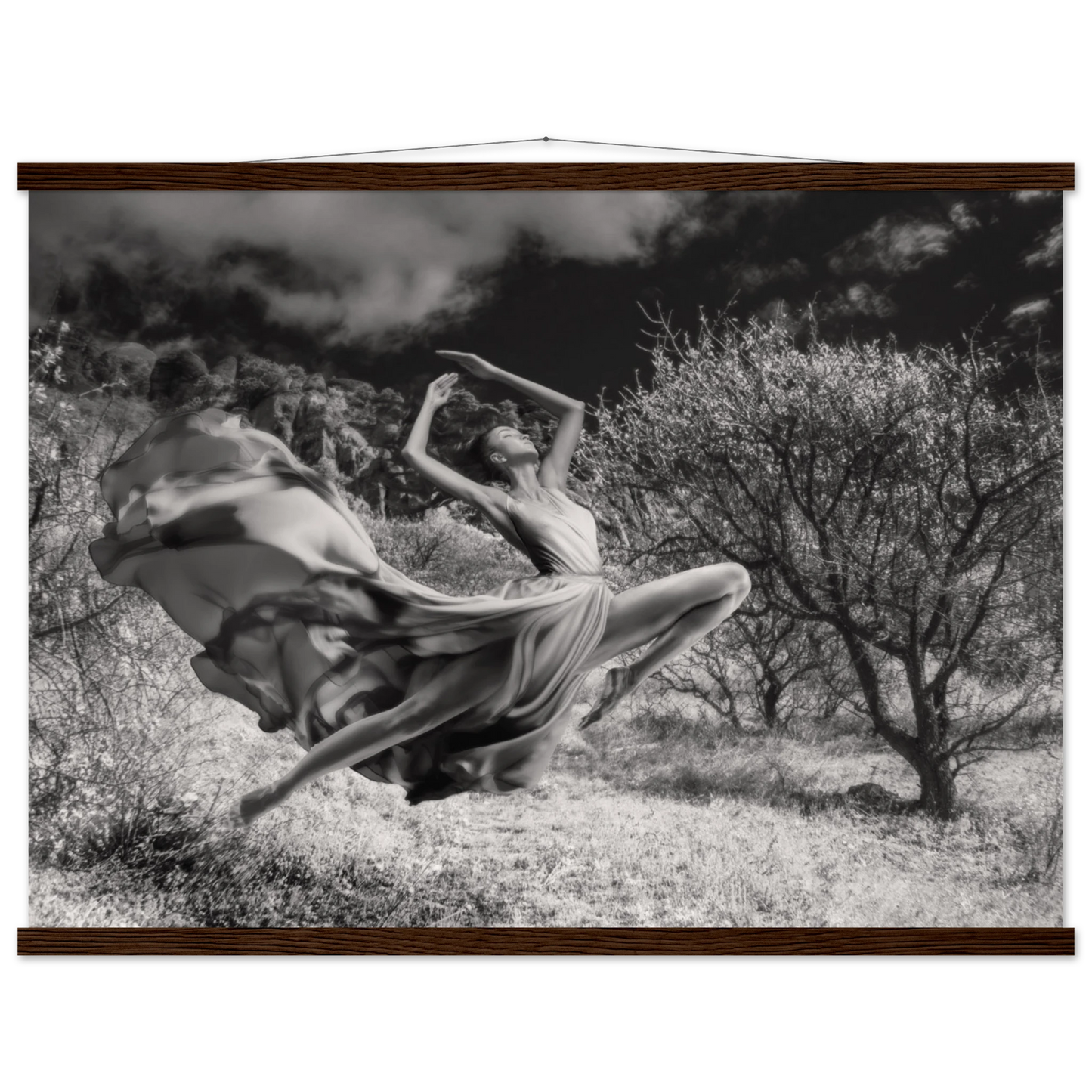 15958f55-02bf-4727-b956-4226177f4ffd