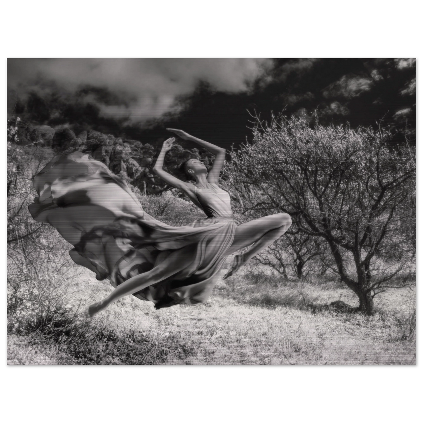 159da637-5cdd-4883-b07d-da5fac20e6d5