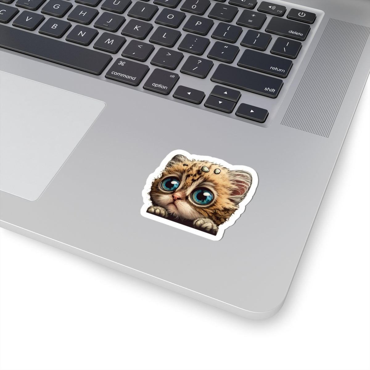 Kiss-Cut Sticker of cute funny cat kitten  for your collection