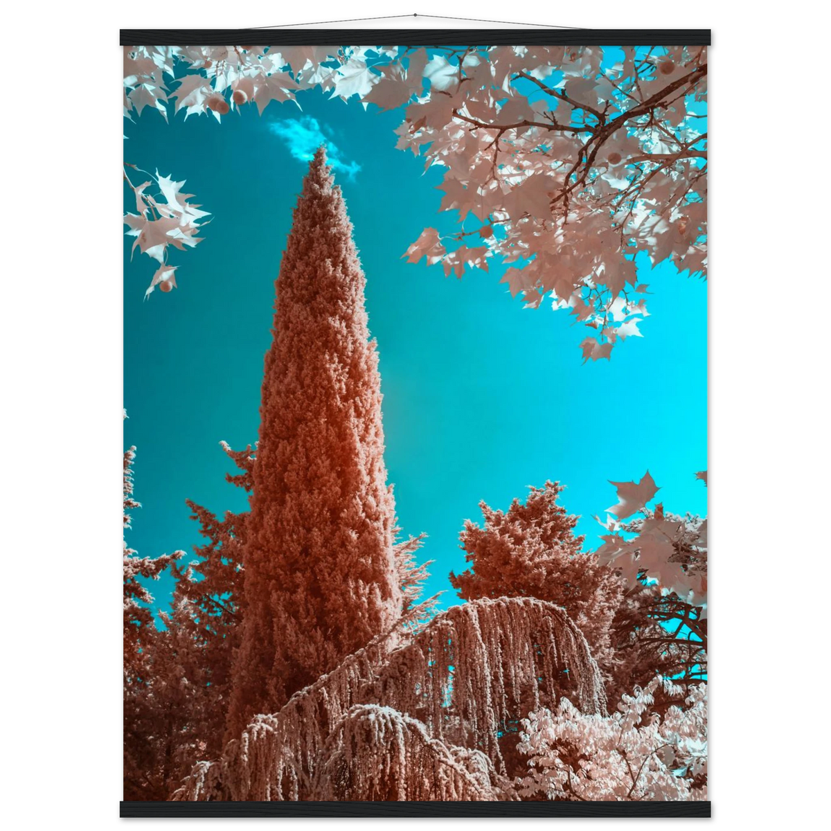 162294b4-90d2-4560-a7ec-0484b206f60a