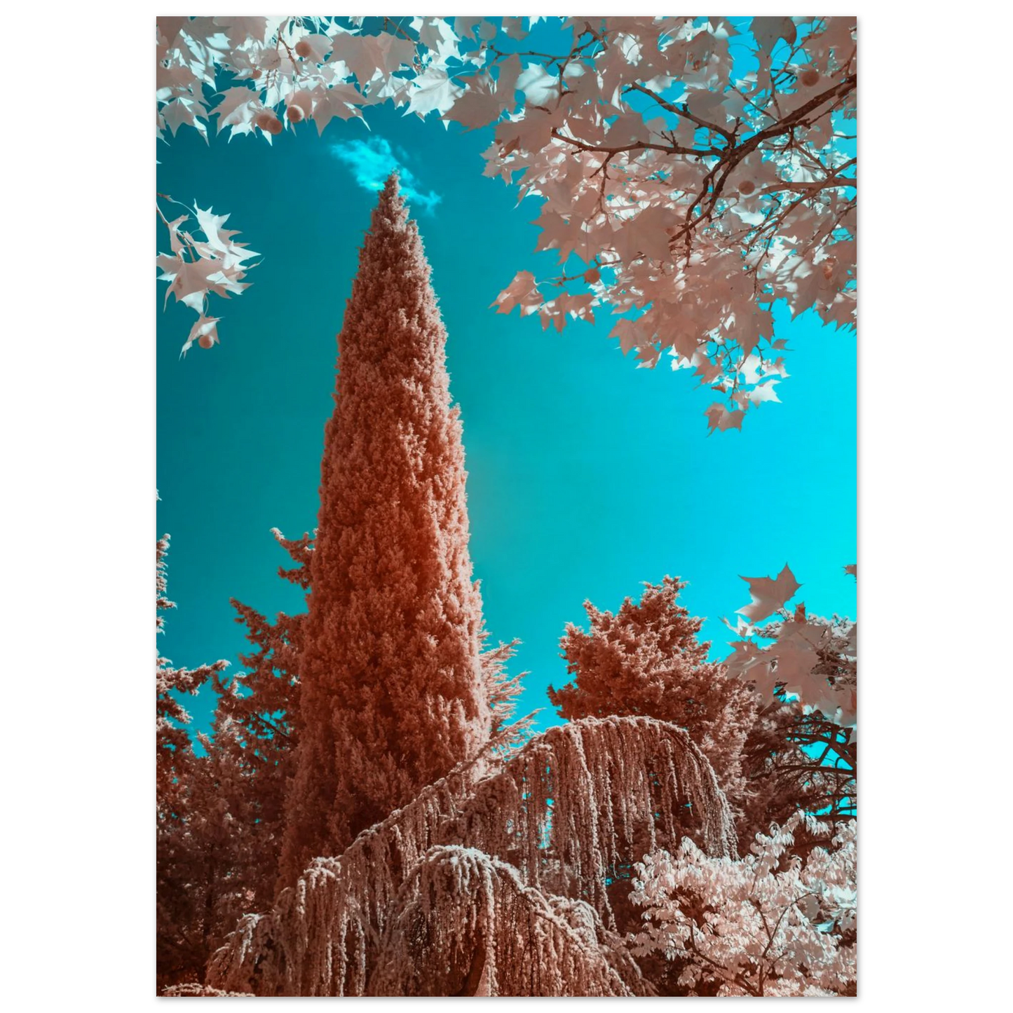 16ba785d-f448-4a19-a7f5-86054a848212