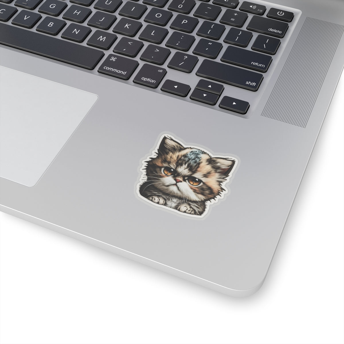 Kiss-Cut Sticker of cute funny grumpy cat kitten  for your collection