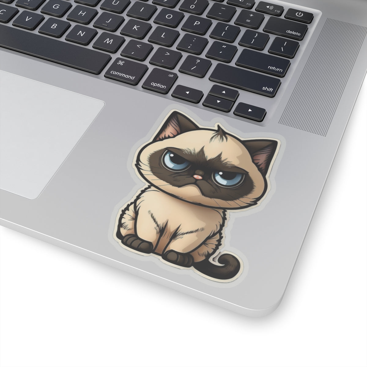 Kiss-Cut Sticker of cute funny cat kitten  for your collection
