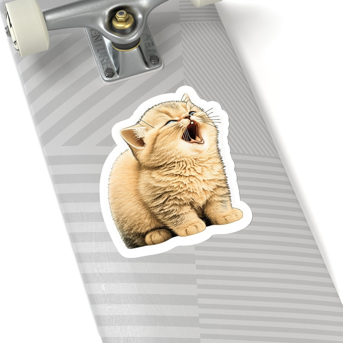Kiss-Cut Sticker of cute funny golden chinchilla cat kitten  for your collection