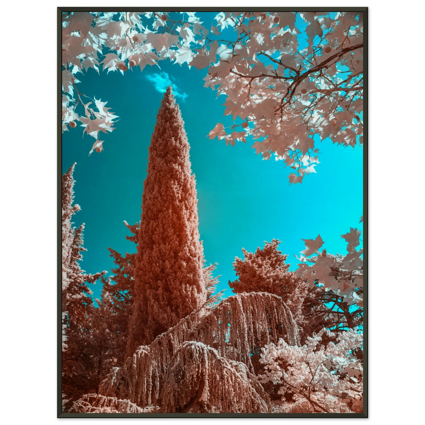 17ae41e9-fab8-4b35-8a43-639b03b2303f