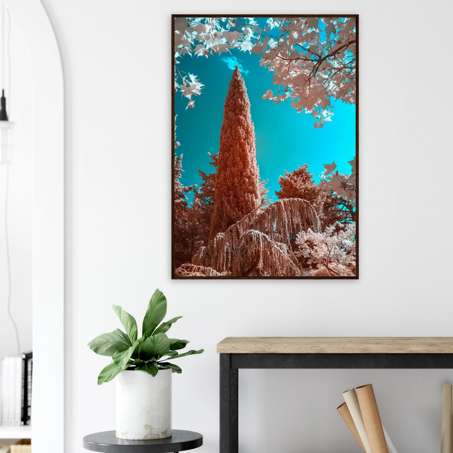 17ee8346-b41e-4354-81ac-c4149e6af4cc