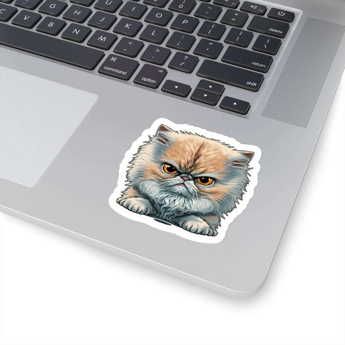 Kiss-Cut Sticker of cute funny angry cat kitten  for your collection