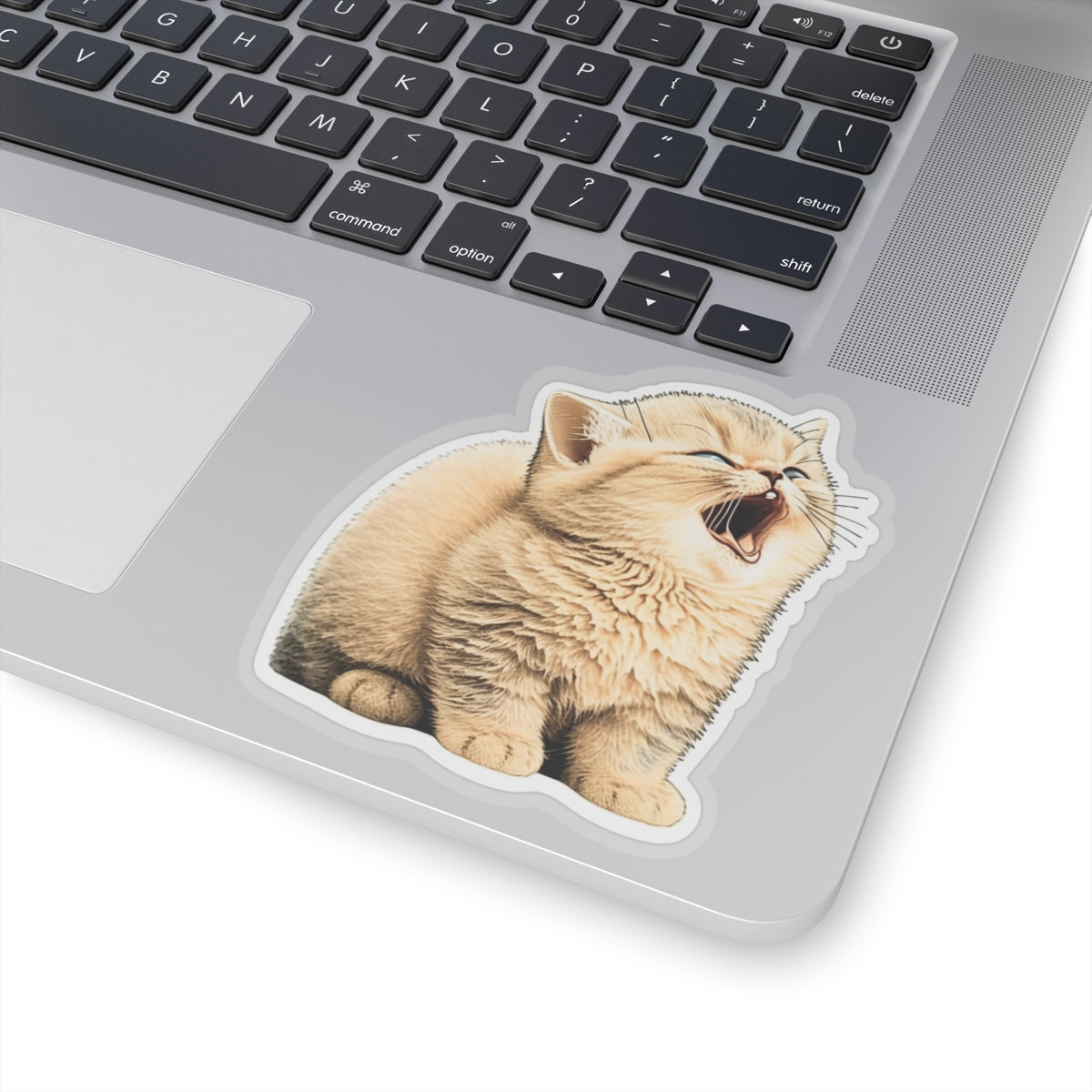 Kiss-Cut Sticker of cute funny golden chinchilla cat kitten  for your collection