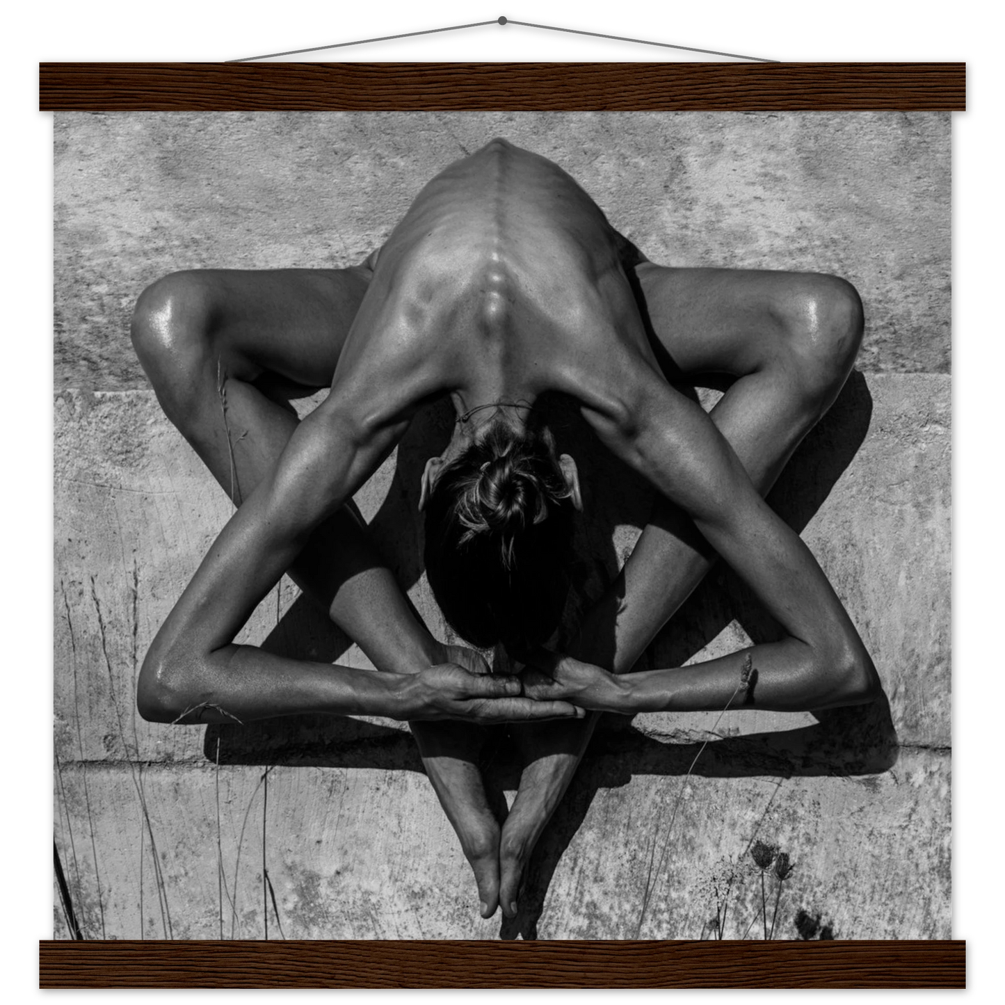 19421d21-0526-478a-a75c-ca574c7e2949