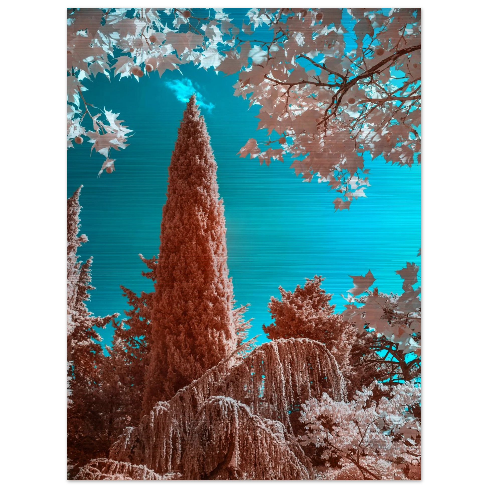 1966755b-fb3b-4c12-9042-63f03c0b2faf