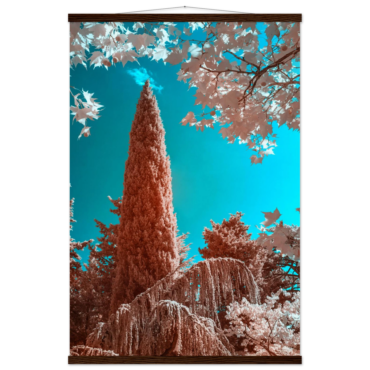 1aa8d690-e72e-49b2-9bea-d91159bdab61