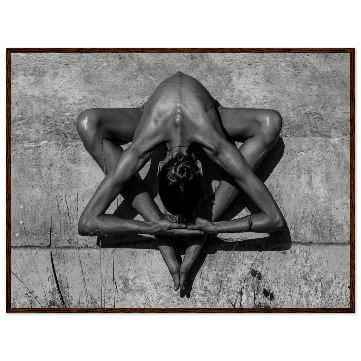 1b196db8-c6c9-4cbd-b0aa-953329e983da