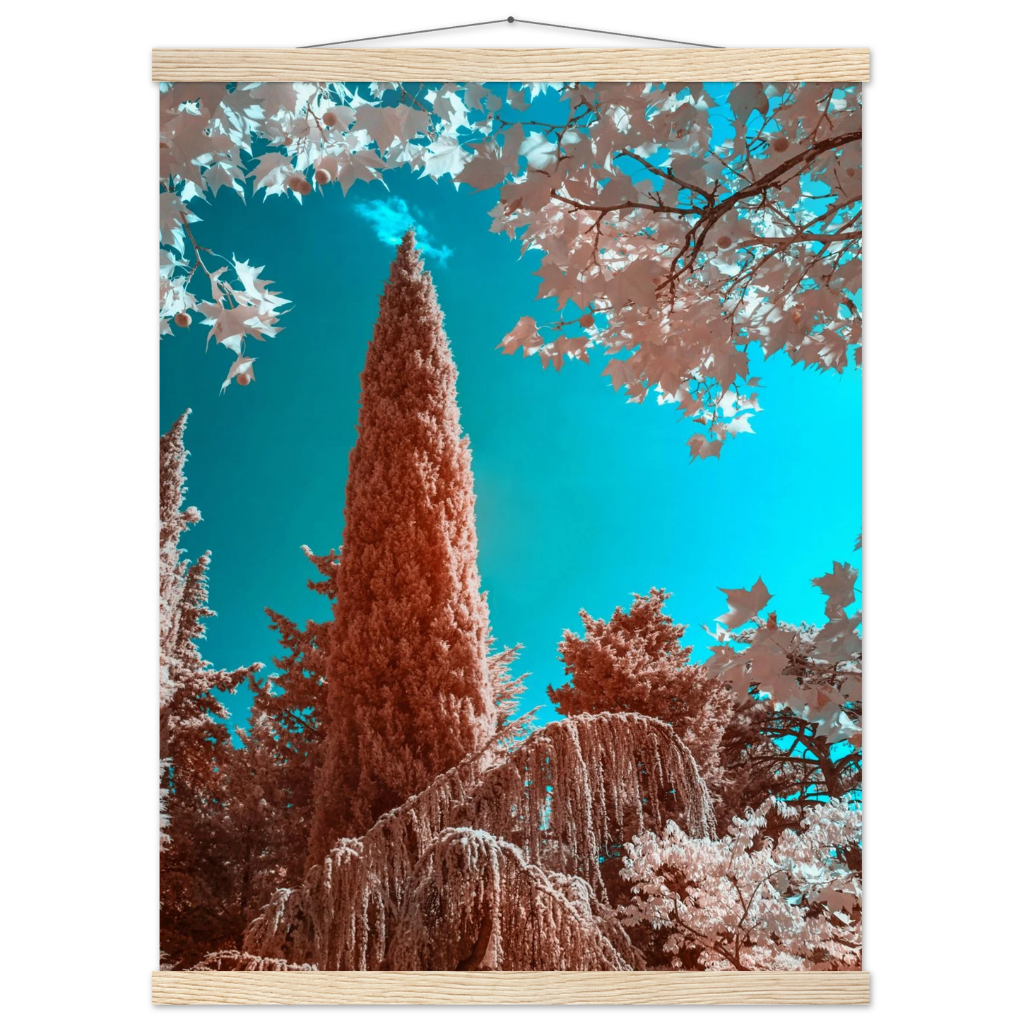 1b2855f2-7037-4bcd-841f-1b197ade296a