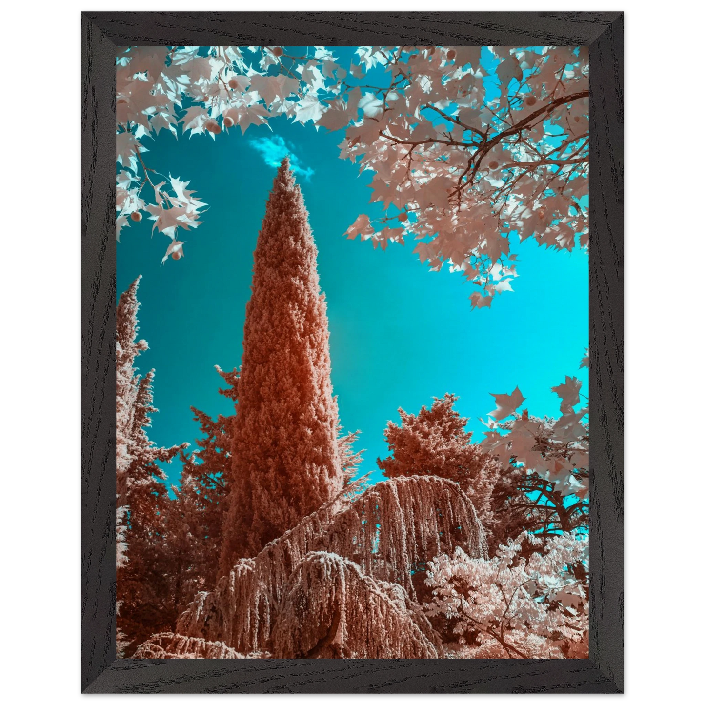 1d34afb8-61ab-4cc2-a145-c47d206cab1f