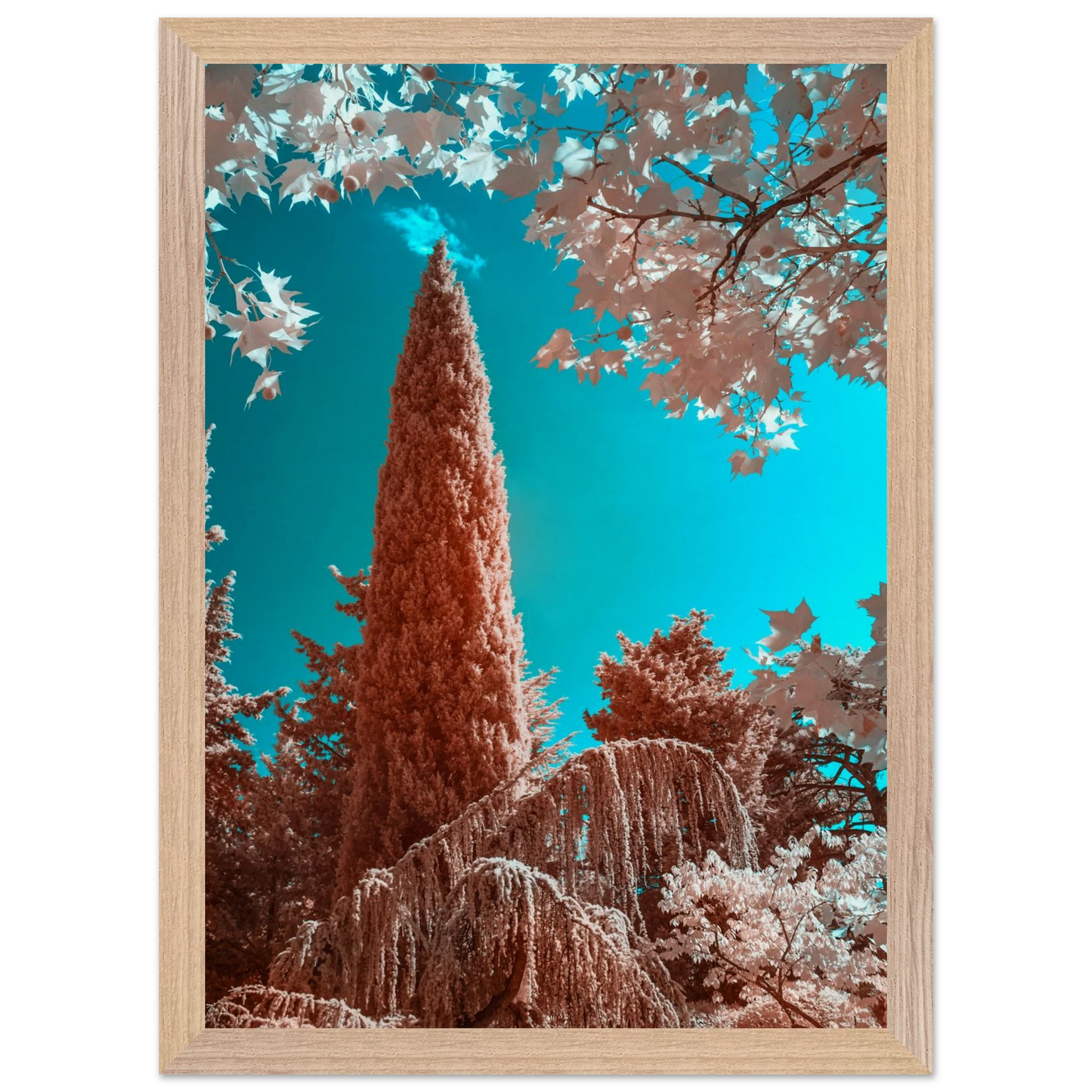 1f223ff3-e080-42de-99ea-4cce96c5b737