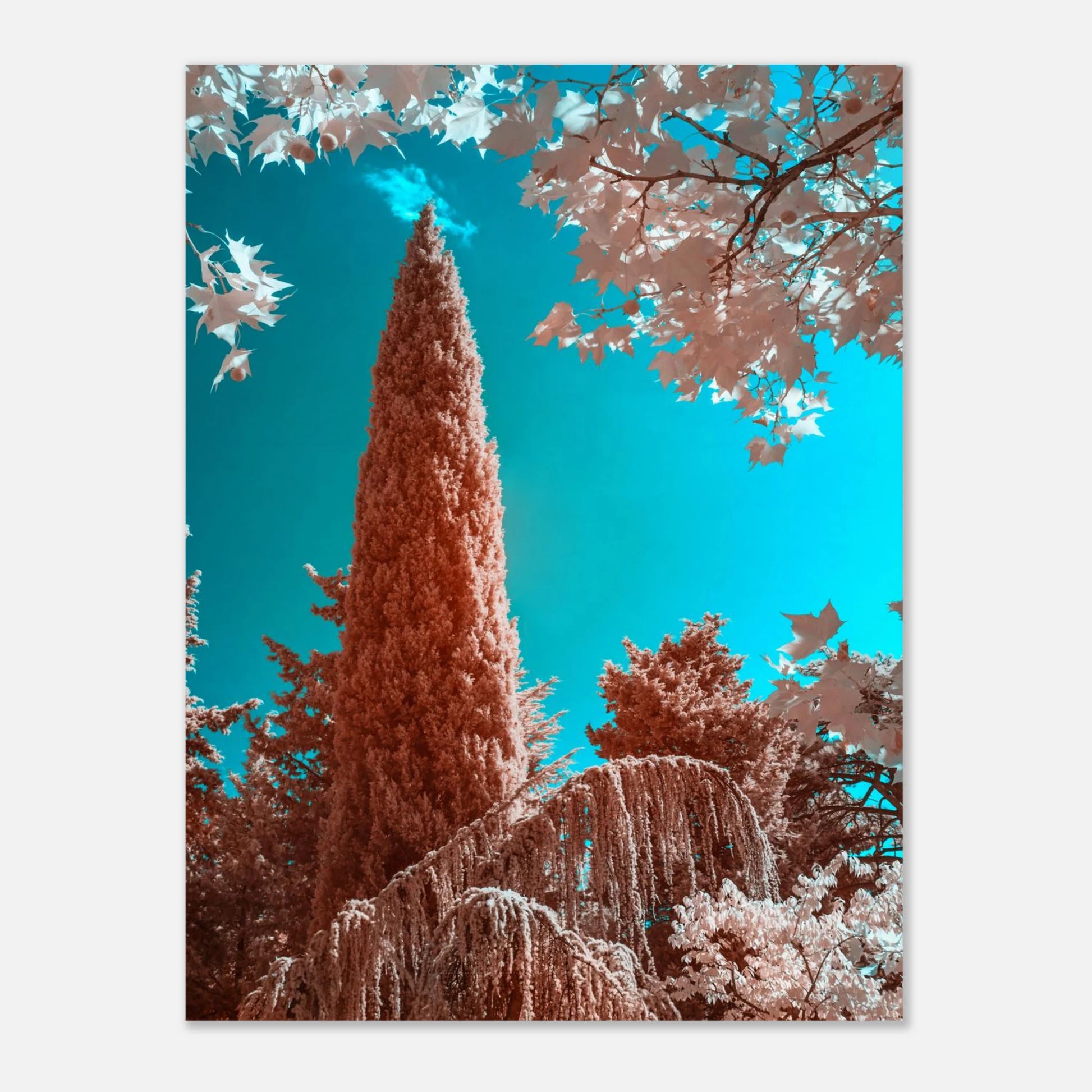 1f87f949-2b00-46d2-8005-4eacc3ee4c4f