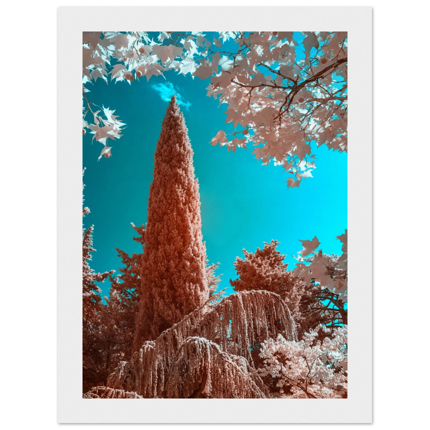 1fec903e-73b0-4799-a5b4-424e3ce7a8c6