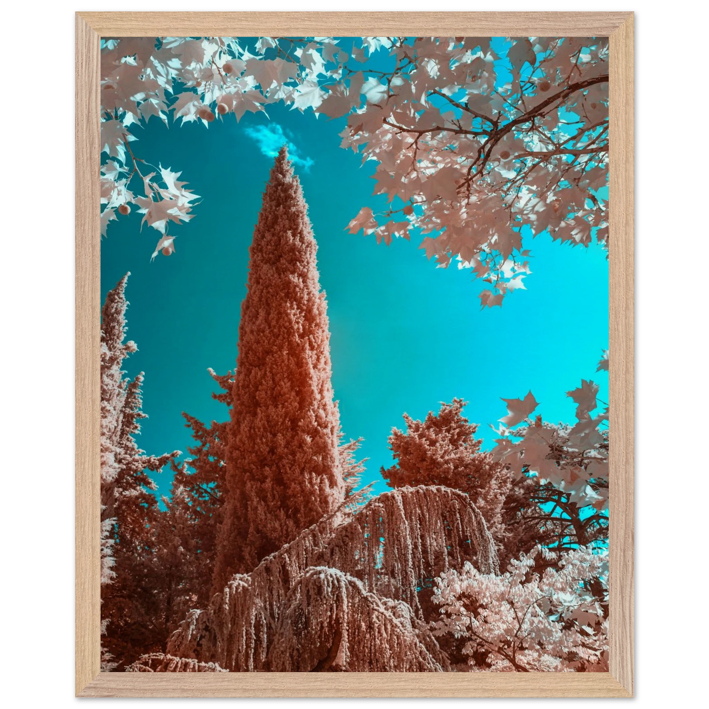 202ada89-b6f5-438c-86f3-dae9eaed355d