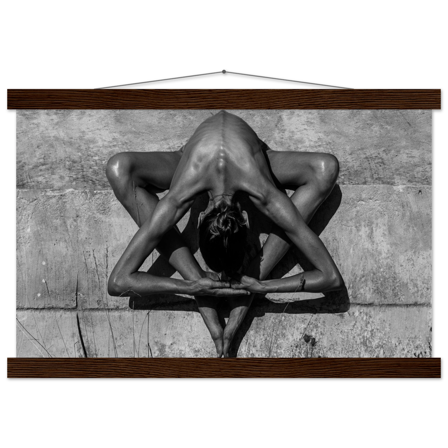 20438b2c-3184-4eaa-99da-2448ea00b573