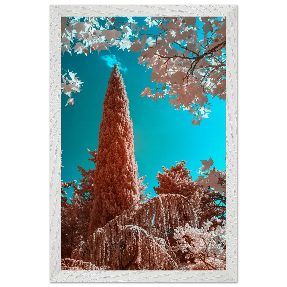 21229177-a7d2-4be5-a7d9-ccf1032a1e3b