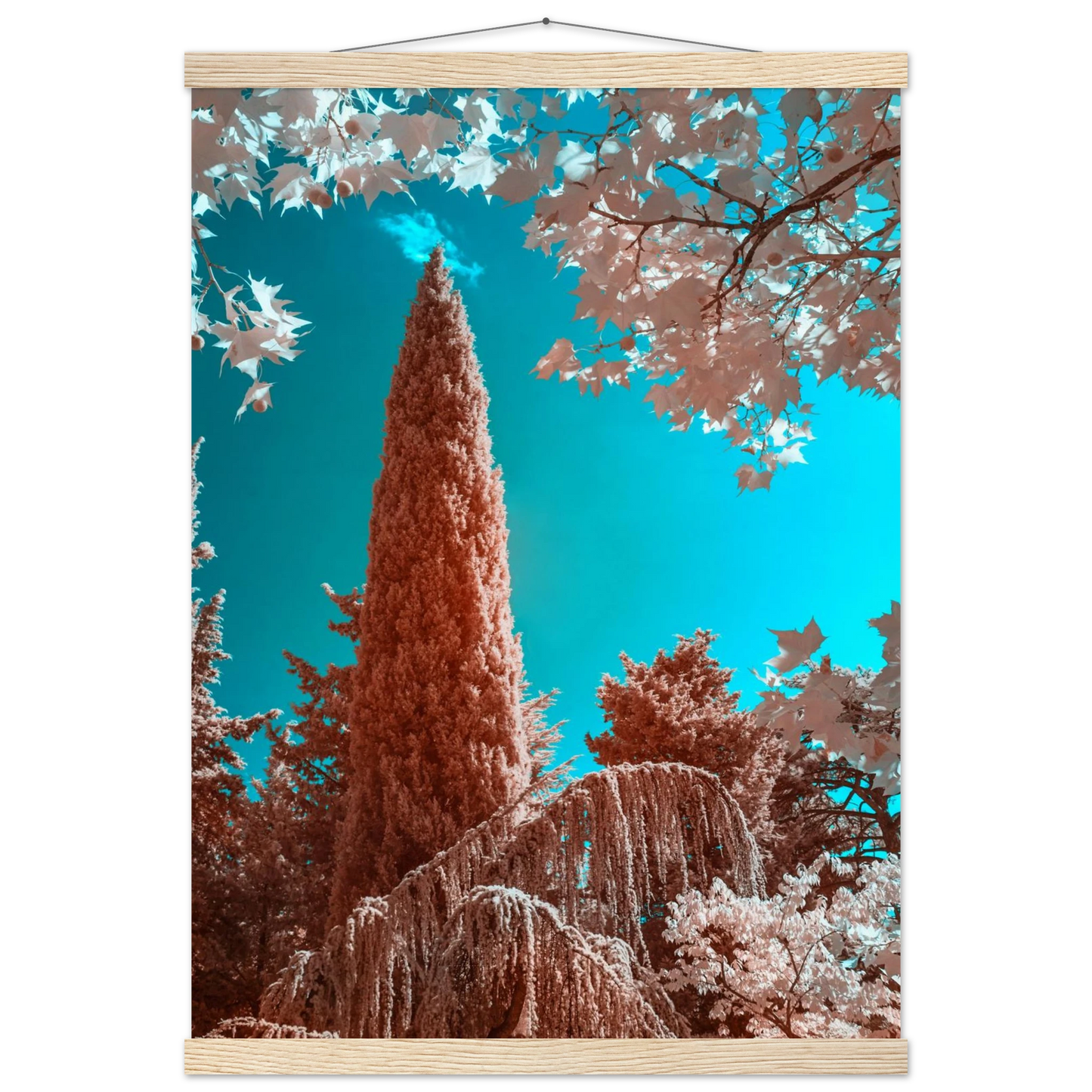 22438ab1-6232-44cb-966a-c32022e18073