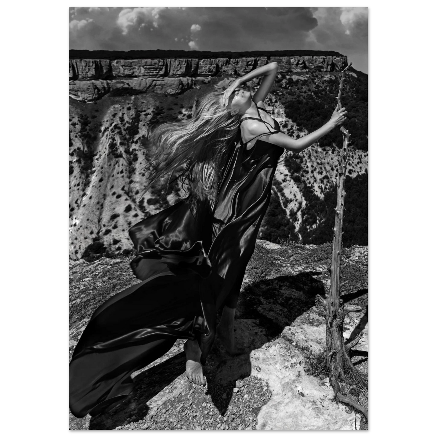 2269dbe9-903f-450c-bd75-dd11ecccdfbd