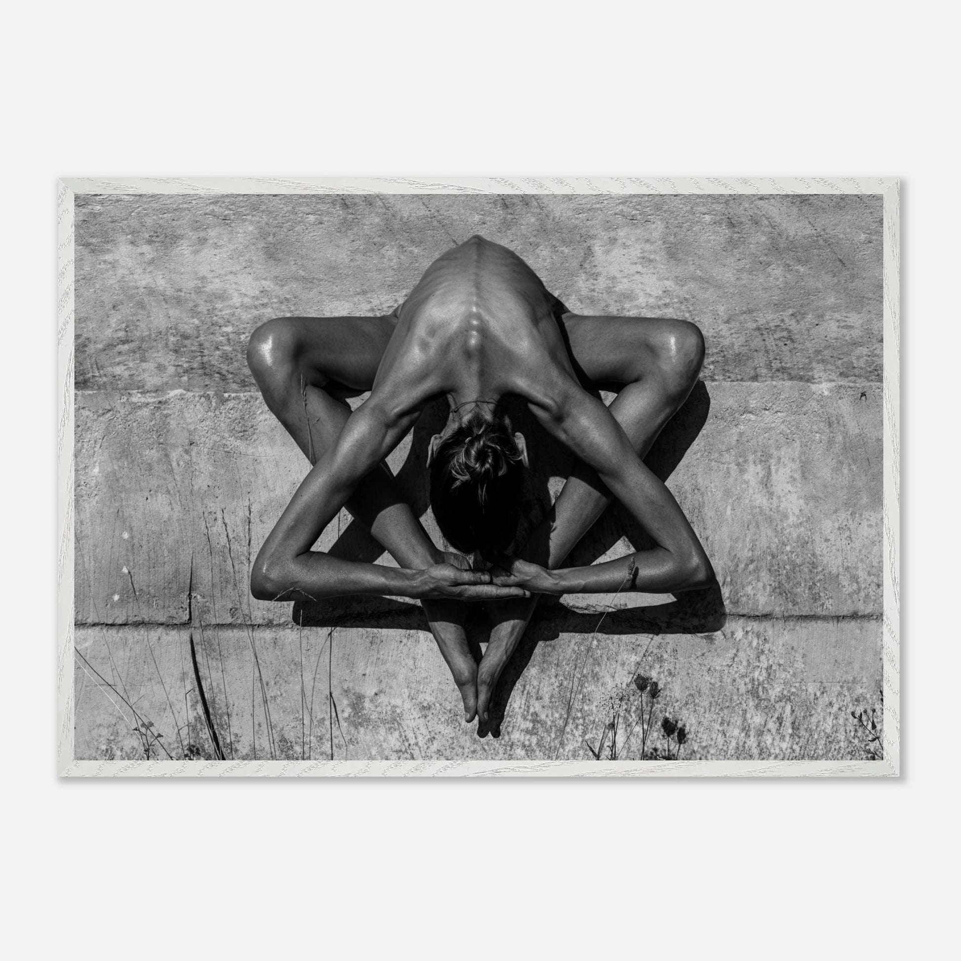 238daca5-b674-4ed3-b527-5f47b24c8c71