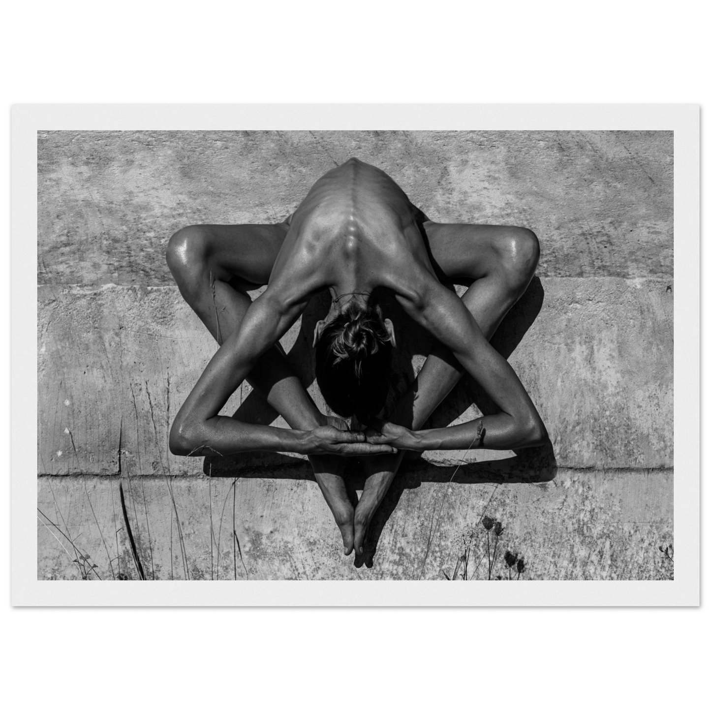 25629567-cd0f-46cc-b531-5960fd72b505