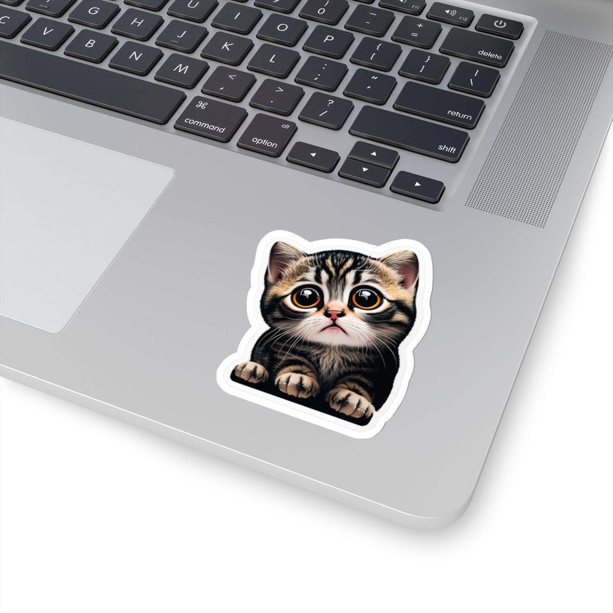 Kiss-Cut Sticker of cute funny cat kitten  for your collection