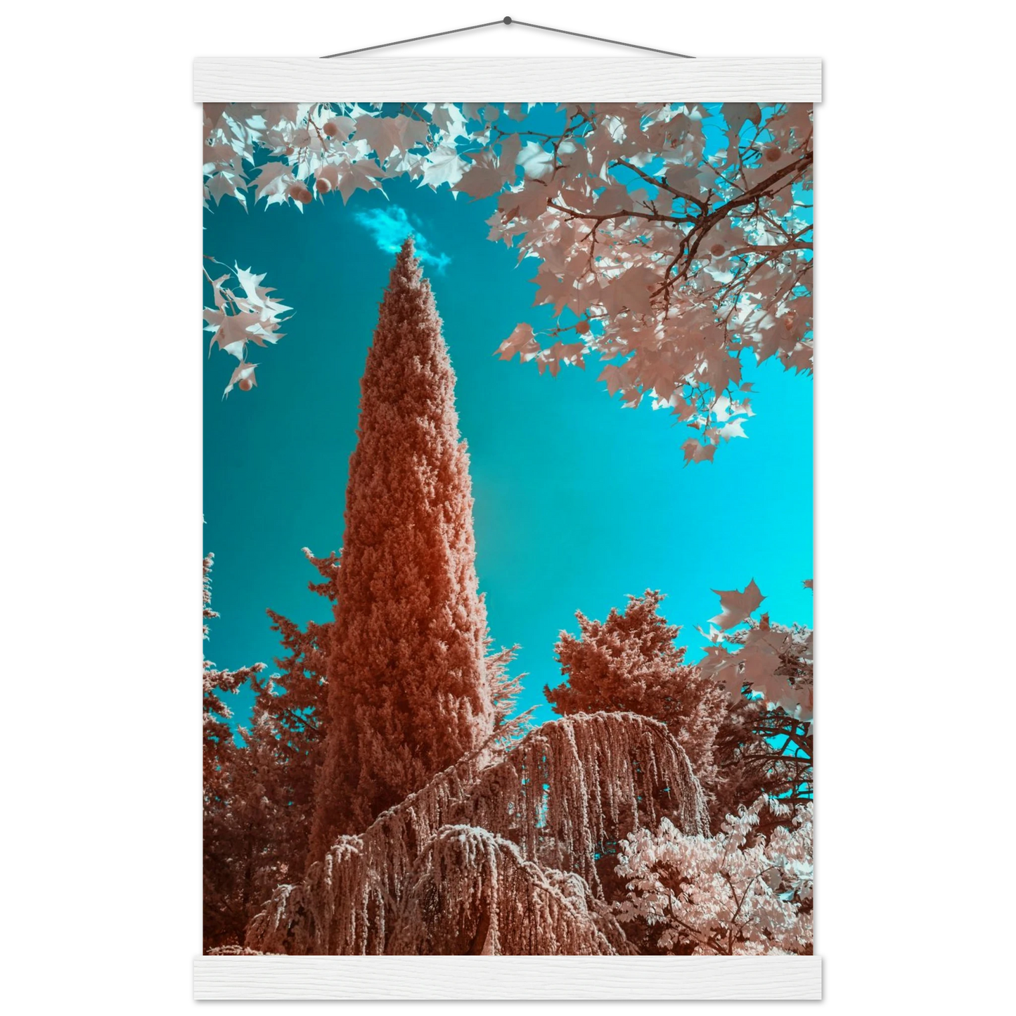 2565e46f-90d1-4103-aa6a-76c3195cc9ab