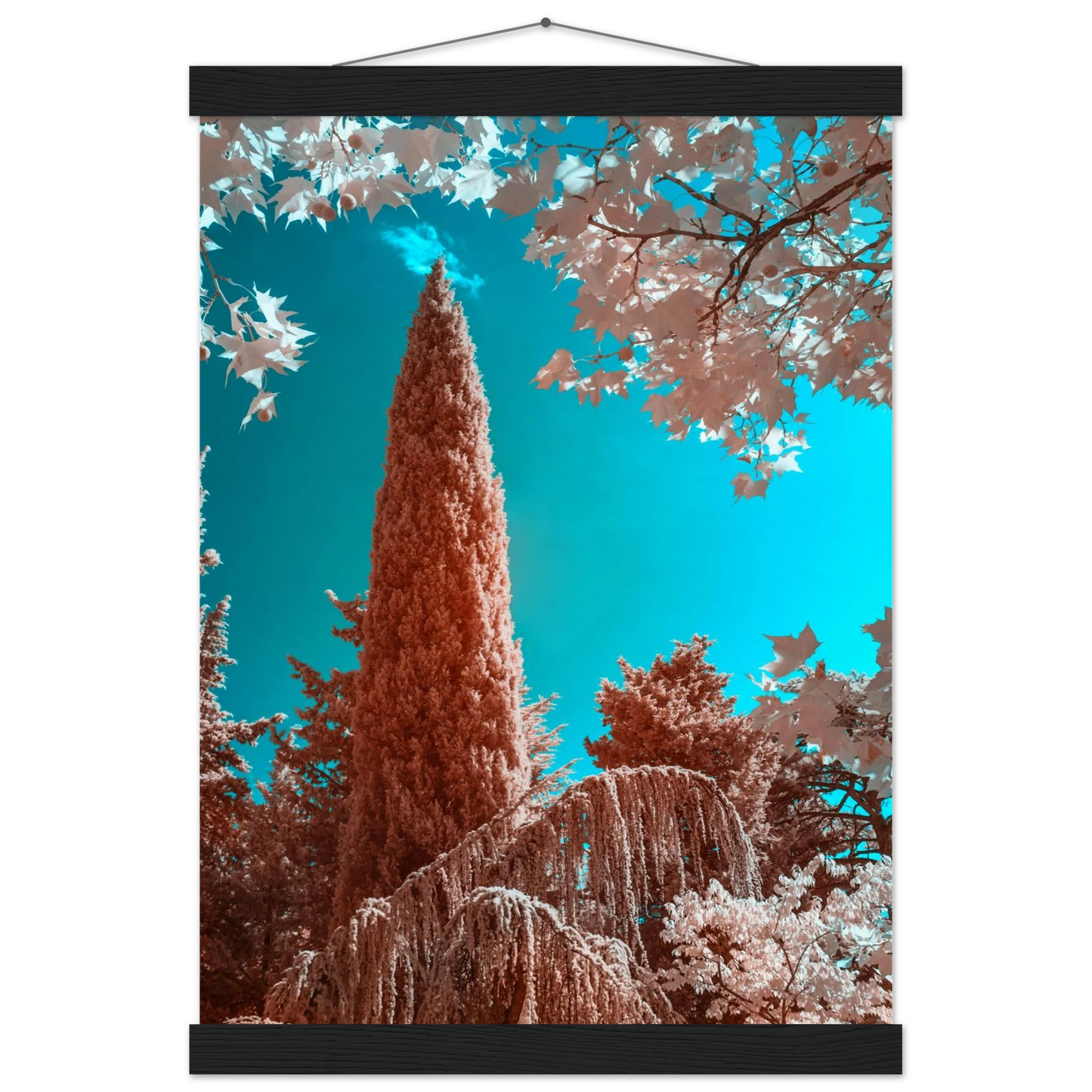 25976313-770e-43c0-a285-763f09ed89c1