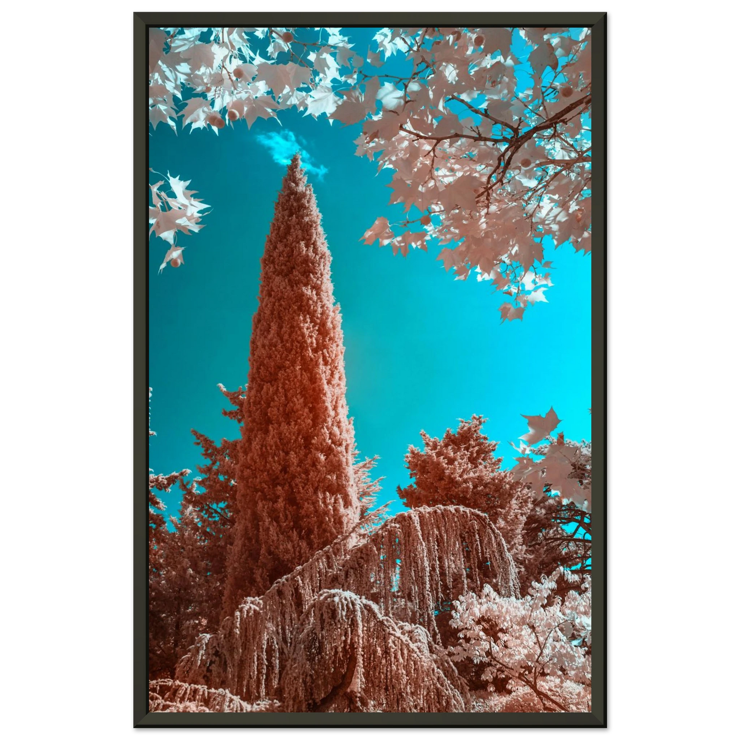 26ffa23d-e0db-4d1e-b5f8-a61ff90b91e6