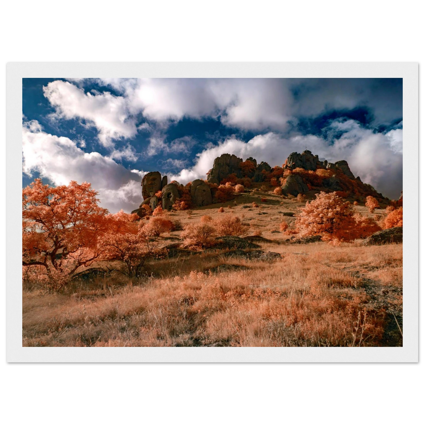 2702961f-f1d3-49fd-a551-894e963b7b39