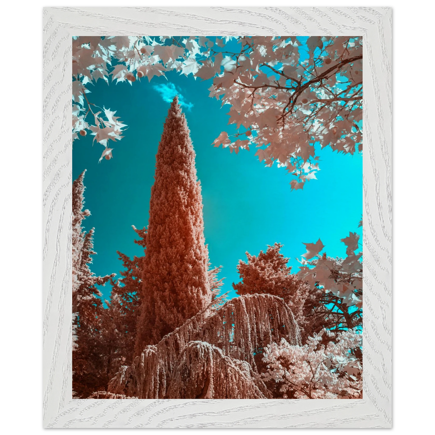 28418c6f-26b2-4678-a38e-65e96fe6fe85