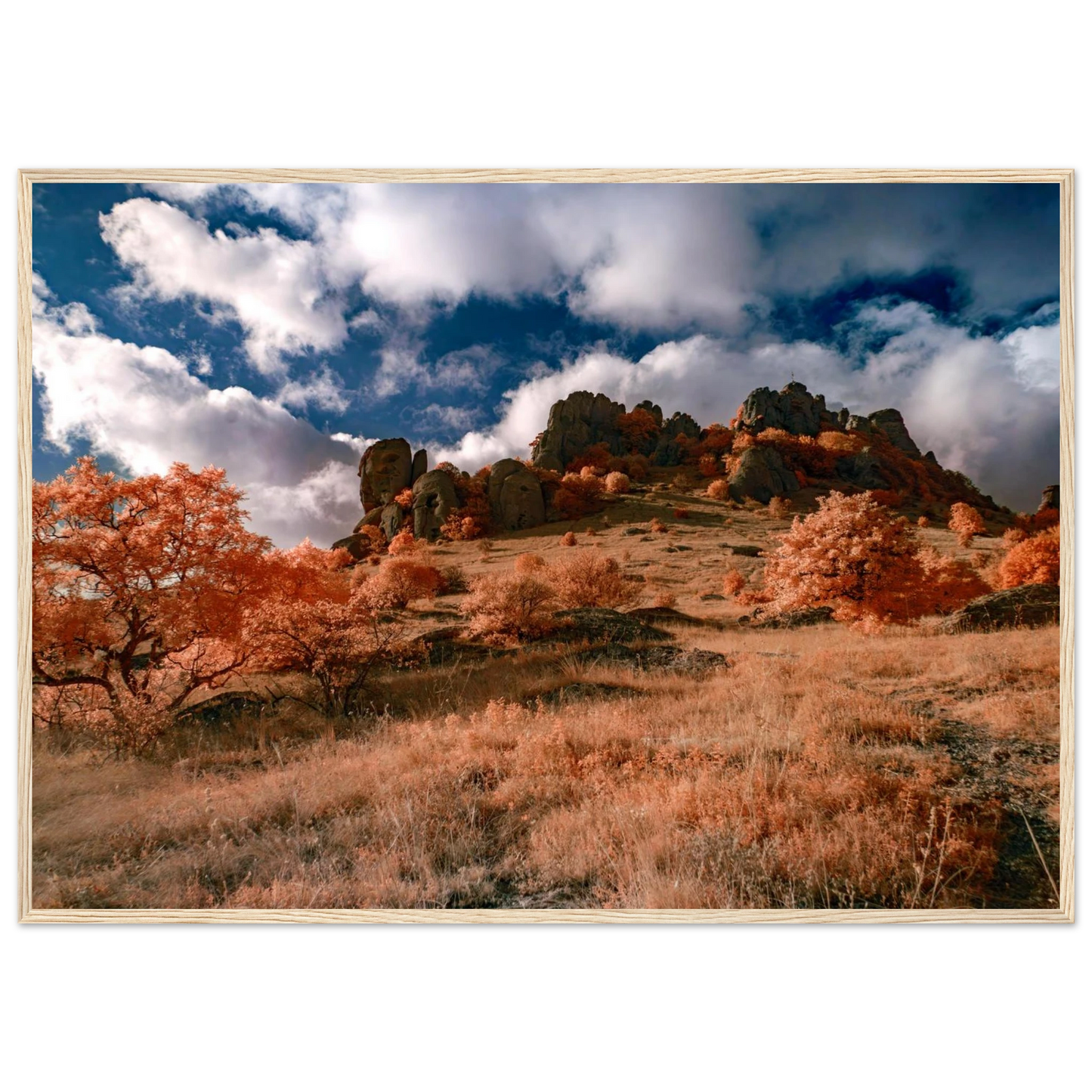 29ae6caf-fb6d-49f4-b85c-fc00aa34fddc