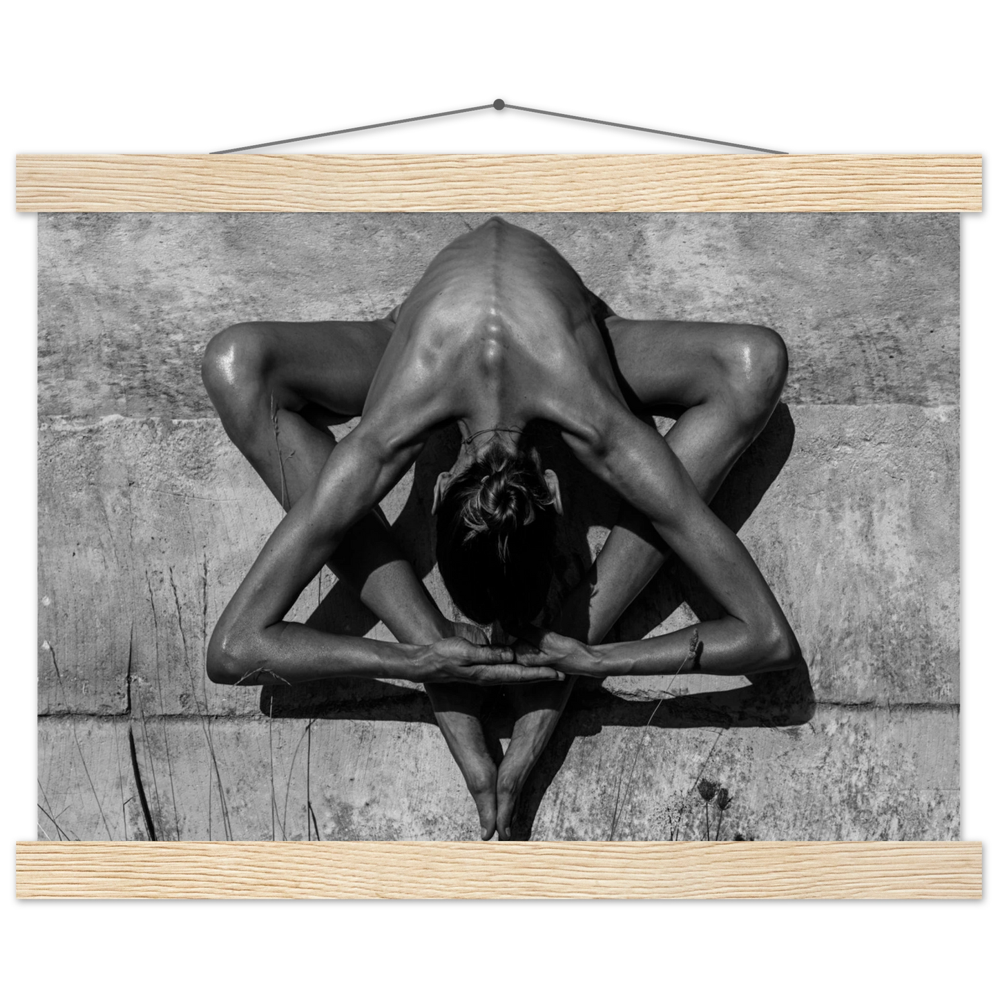 2a565ae1-241b-4f24-81db-72e9e44b4e14