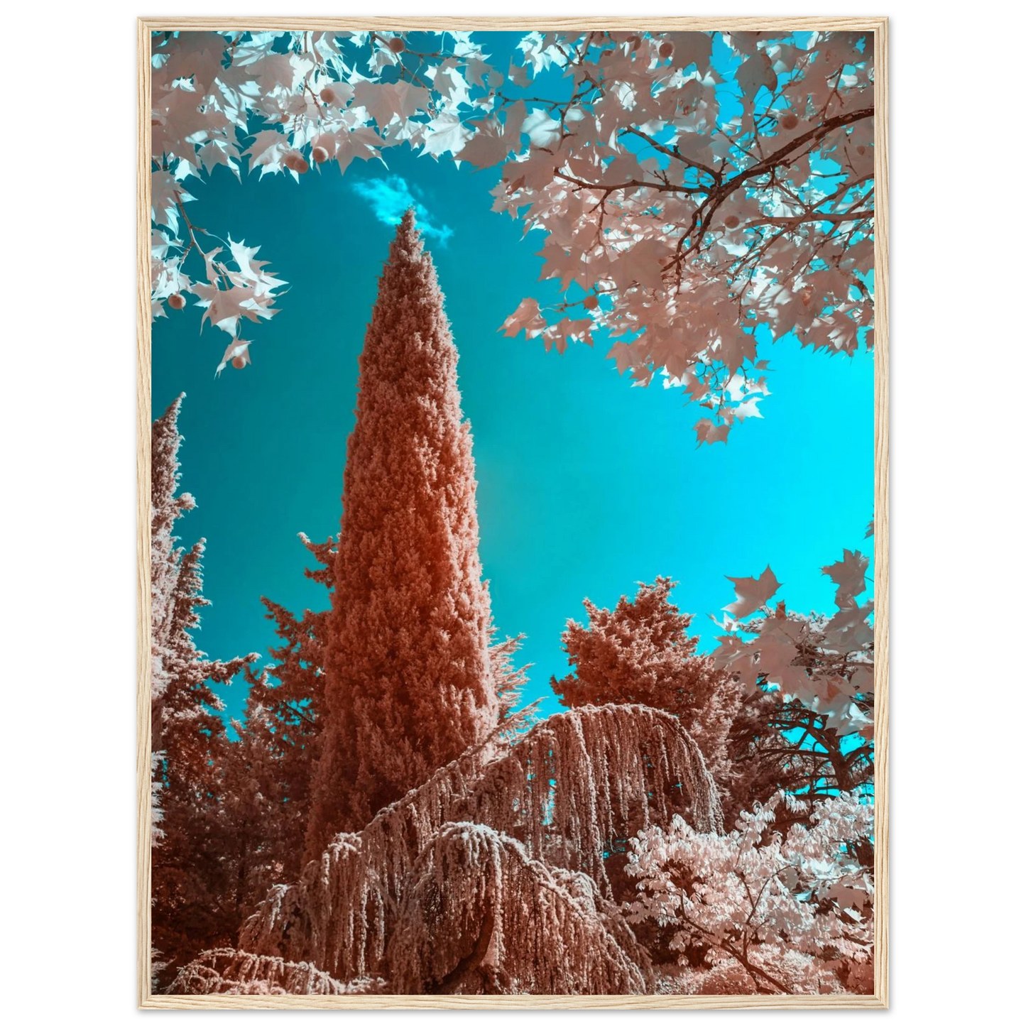 2b18e6f2-fb8c-43fd-ae5c-12727776c9ae