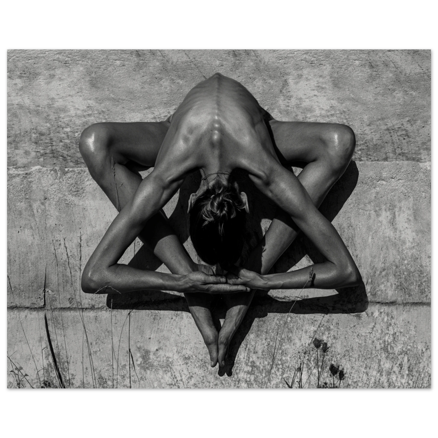 2b5a2eb3-d609-44fa-905a-ad4c62d0a295