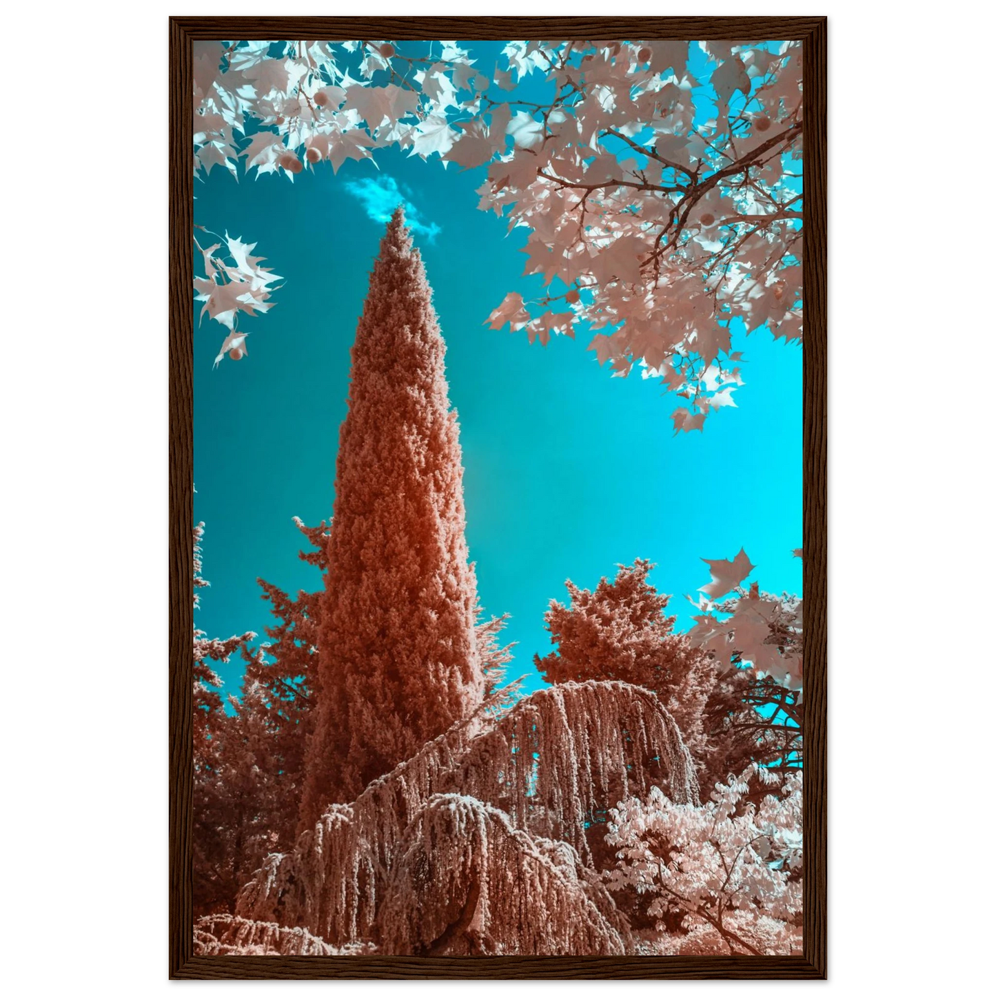 2c9b5957-37a7-4f09-95a0-0a8e8c580c6e