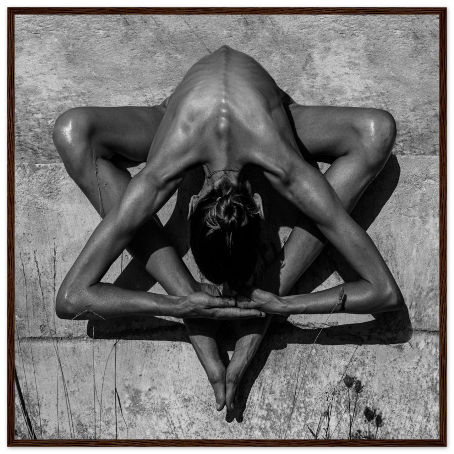 2ceae3e0-24a8-46f4-9409-196adc18772c