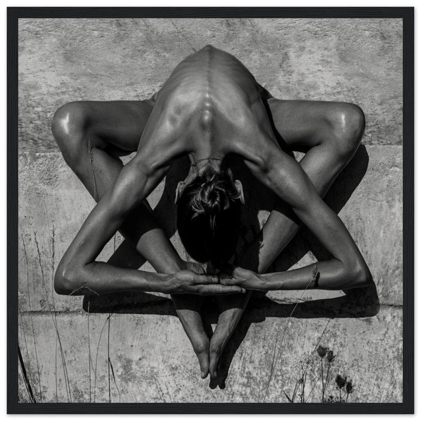 2d569366-5780-48ad-8fb6-8138c5107b4f