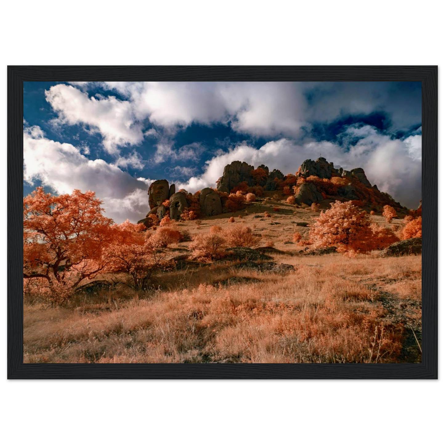 2ead8d60-4cc9-4af2-9dda-2b1456c699e3